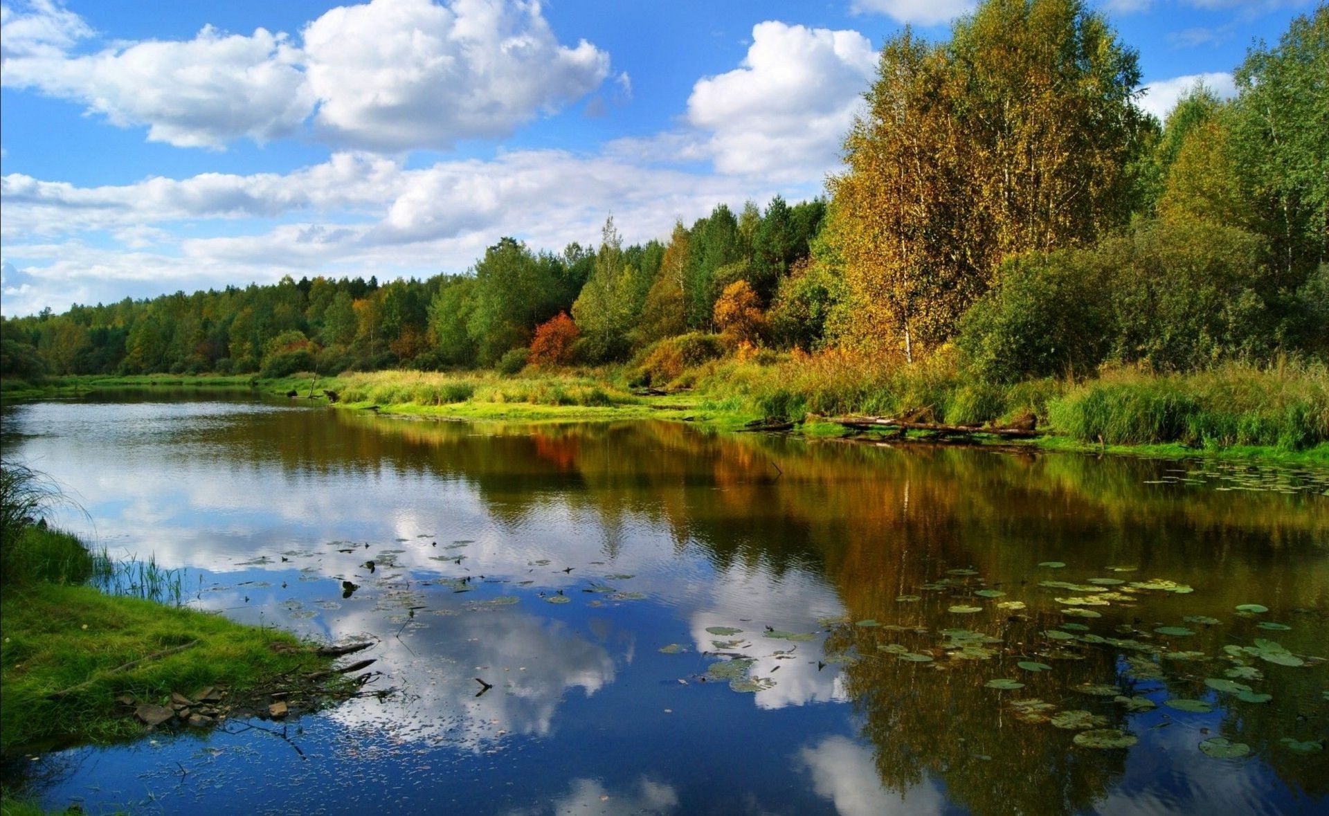 rivers ponds and streams lake water reflection landscape nature river outdoors tree pool scenic wood sky composure placid summer idyllic daylight