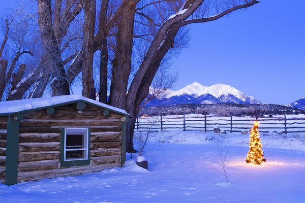 Festive Christmas tree in the snowy forest