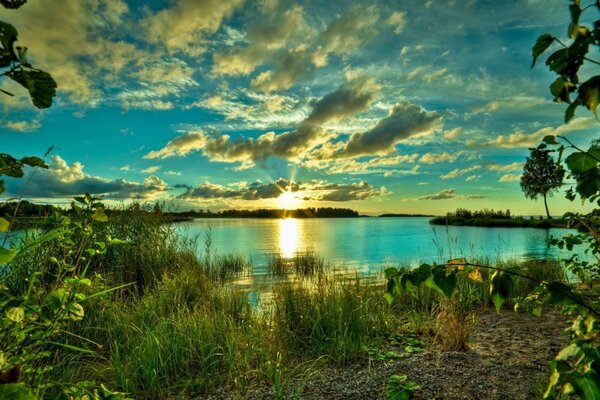 Tranquilo amanecer en la orilla del río. La naturaleza despierta