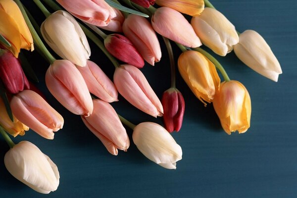 The most beautiful and delicate flowers. a gift for March 8