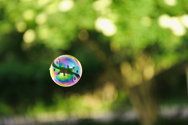 A multicolored drop frozen in the air