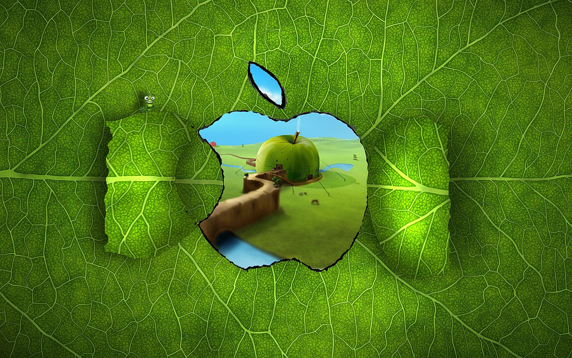 apple feuille nature environnement flore croissance écologie été sphérique