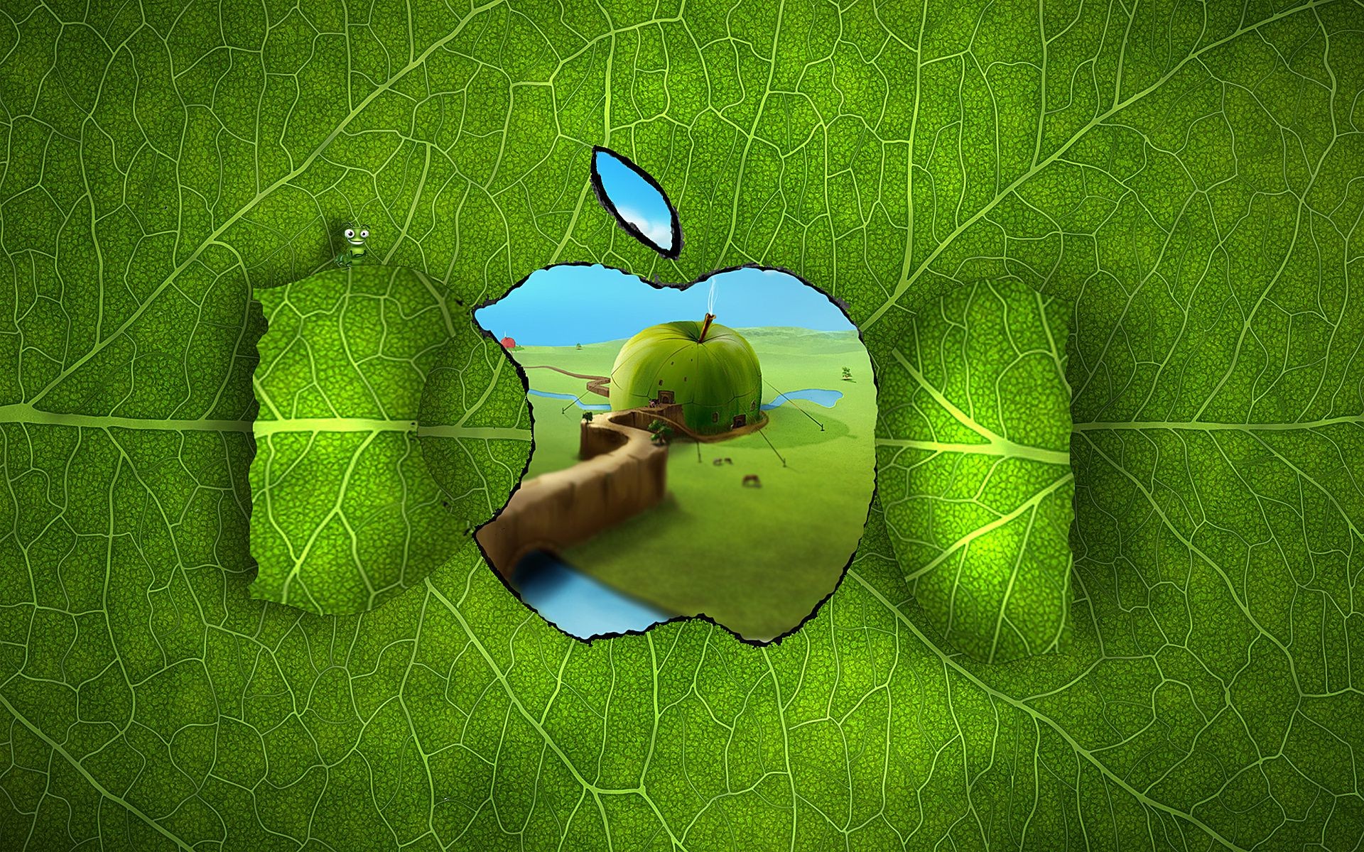 apple leaf nature environment flora growth ecology summer ball-shaped