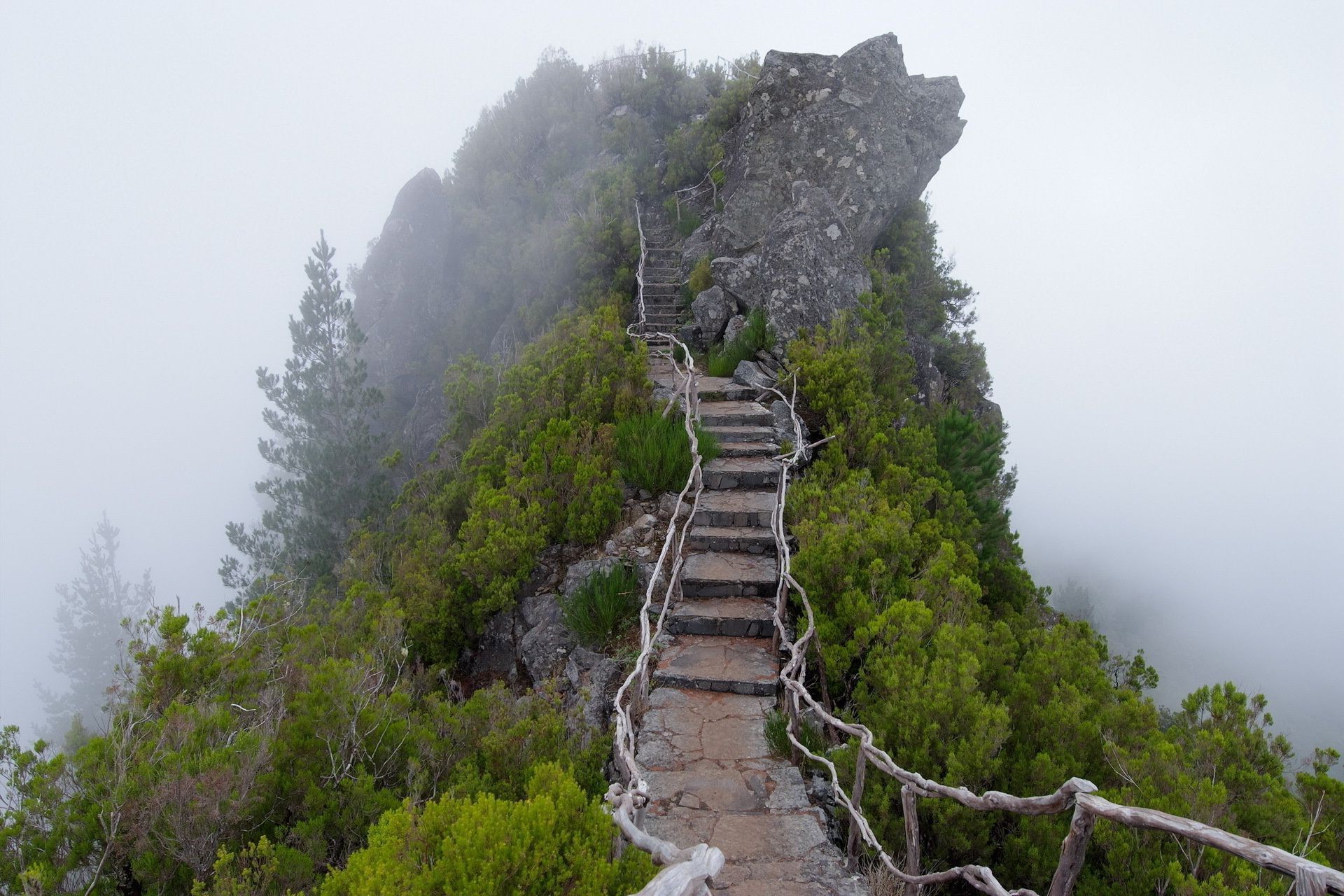 mountains travel nature wood outdoors landscape tree guidance sky mountain hike summer water