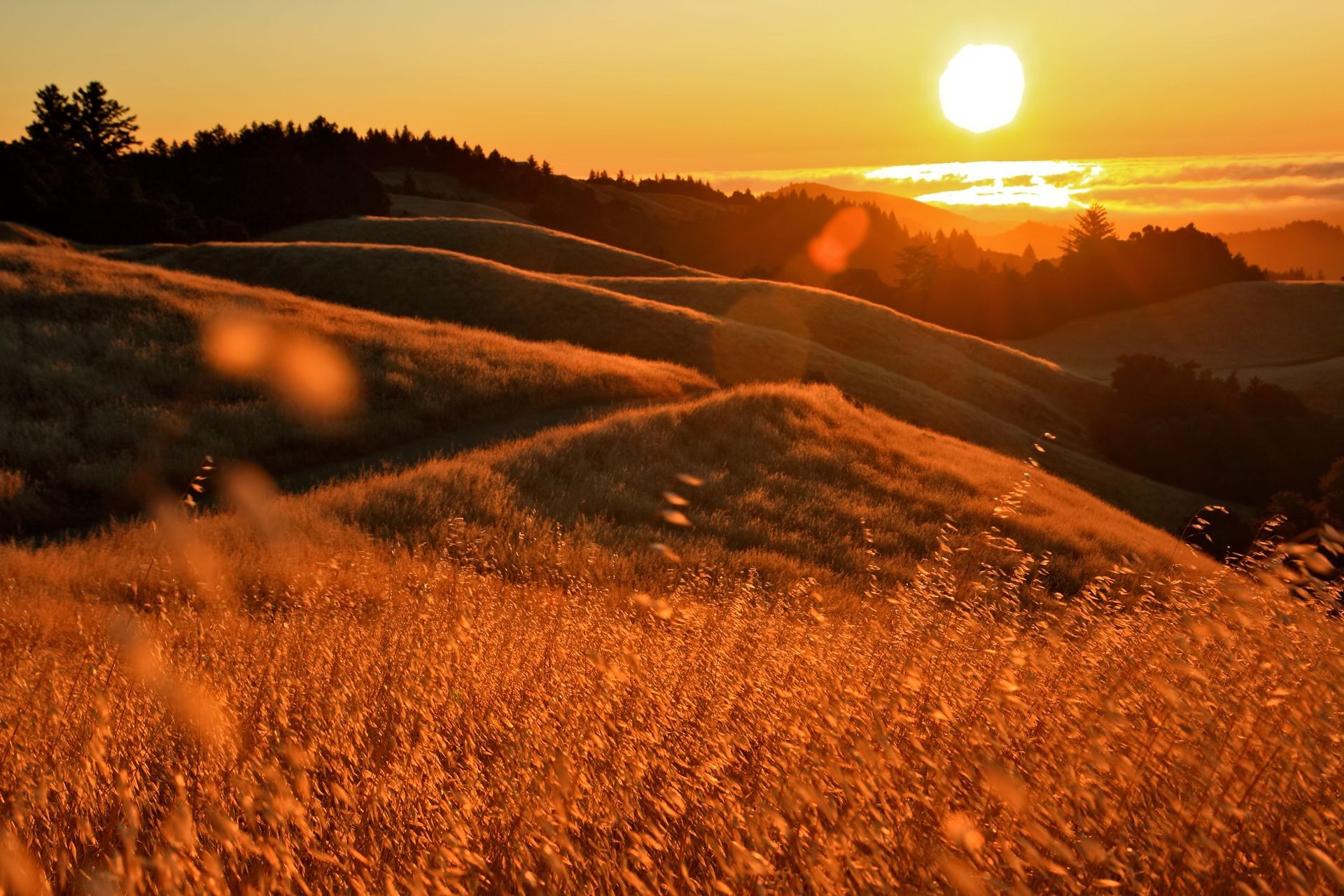 tramonto e alba tramonto paesaggio alba natura viaggi cielo sera all aperto crepuscolo sole deserto