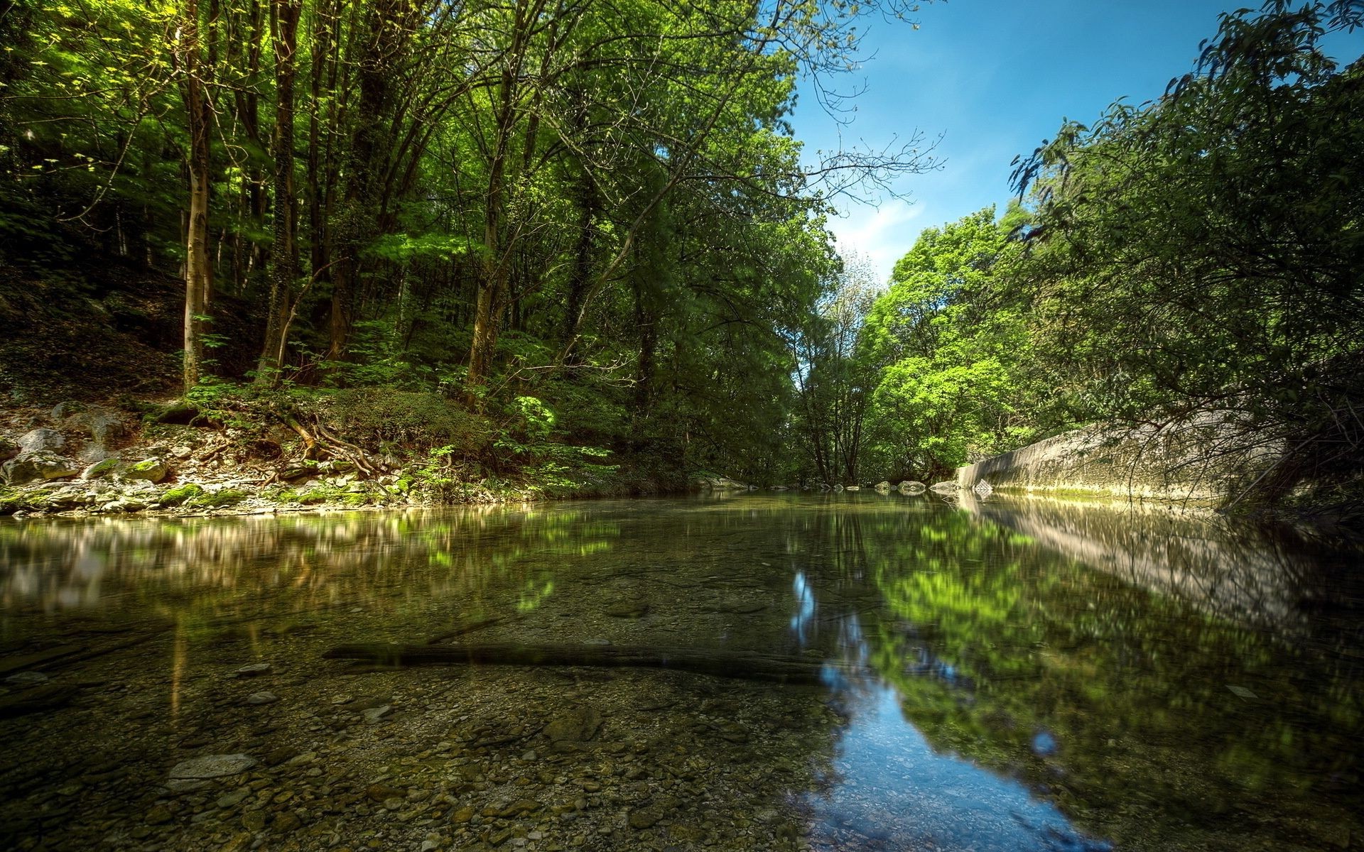 rivers ponds and streams landscape nature wood water river tree leaf environment light travel park outdoors wild stream summer