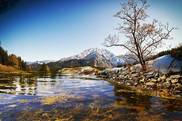 EIN BERGFLUSS UND EIN EINSAMER BAUM