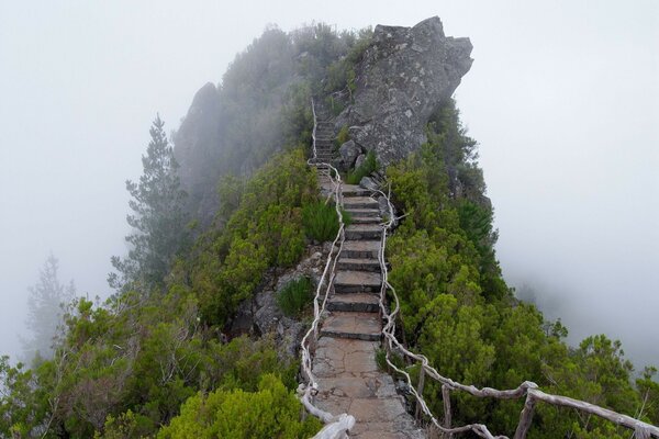 Endloser Weg auf dem Weg in die Wolken