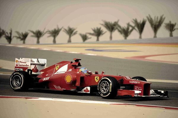 Alonso alonso ferrari ferrari bahrain