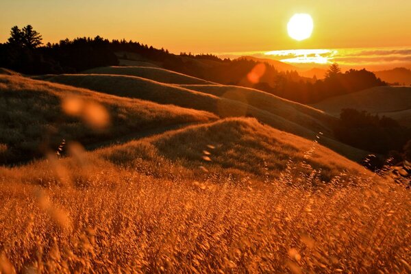 Beautiful autumn landscape. The sun