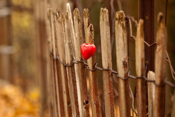 Recinzione macro e portachiavi cuore