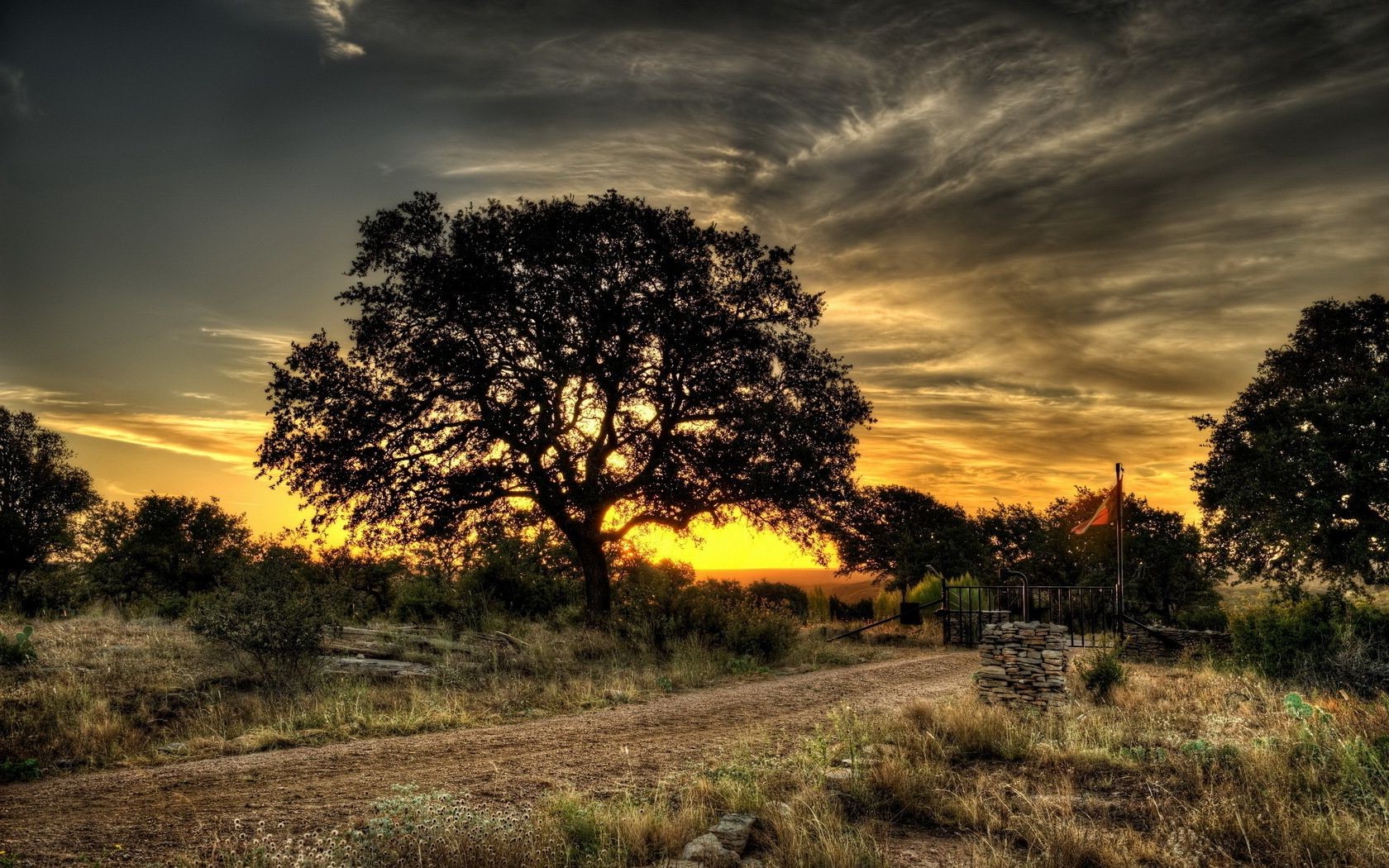 the sunset and sunrise landscape sunset tree nature dawn sky sun grass outdoors wood evening fall countryside fair weather