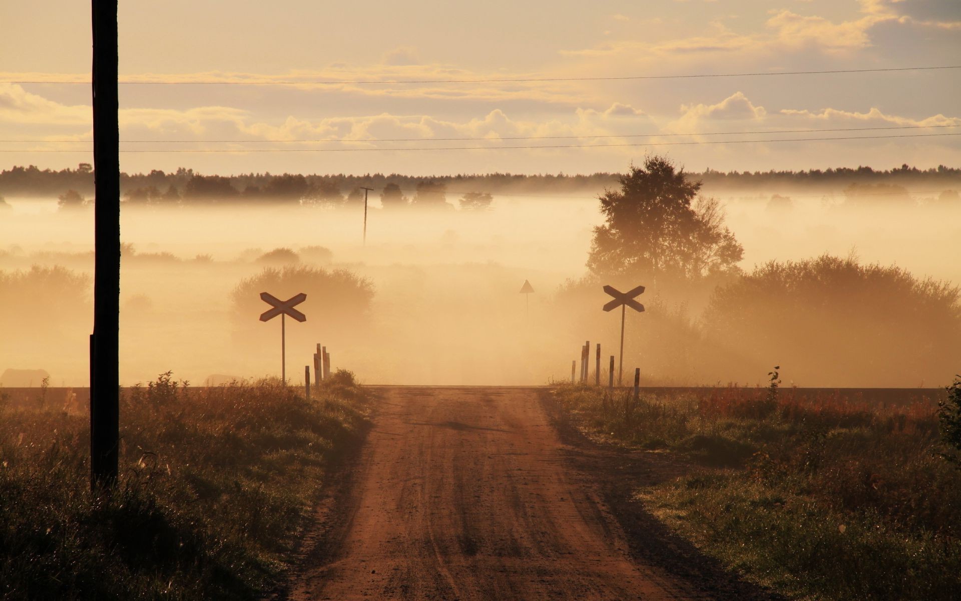 strada tramonto paesaggio silhouette alba albero nebbia illuminato natura sole cielo nebbia luce sera all aperto