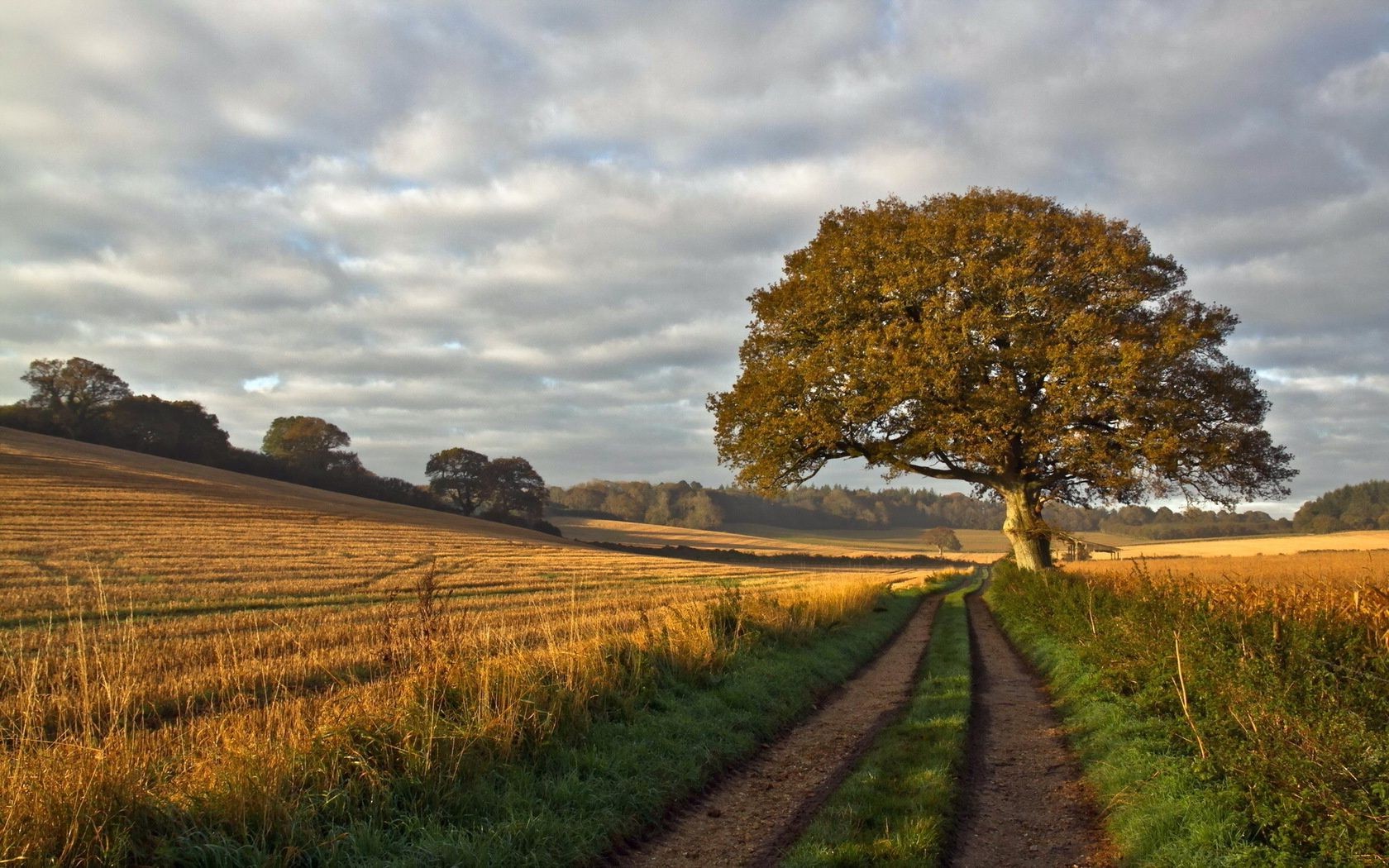 route paysage nature rural arbre campagne ciel agriculture champ herbe à l extérieur automne pays terres cultivées ferme pâturage bois