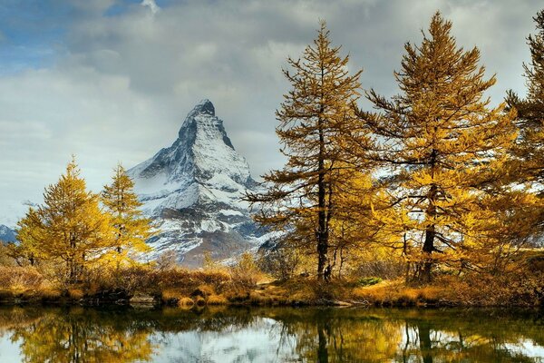 Herbstlandschaft von Wald und Bergen