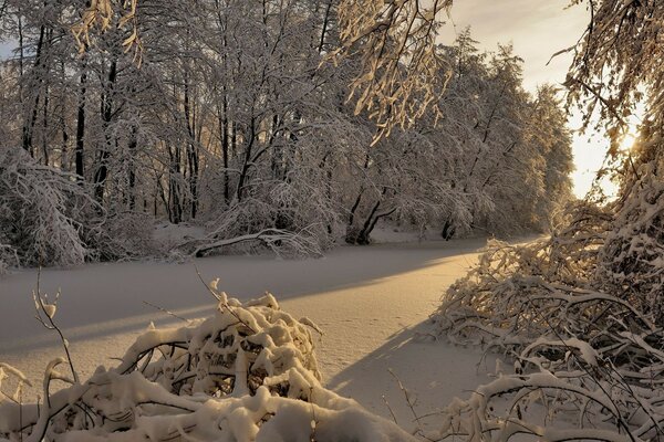 Sunset landscape with winter nature