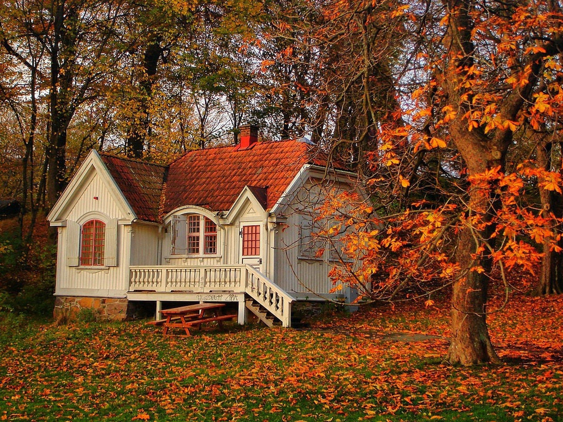 autumn fall wood tree leaf home outdoors house