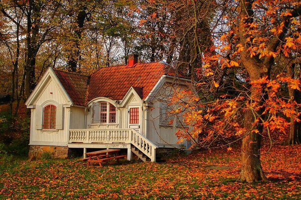 Pequeña casa en la naturaleza pintoresca