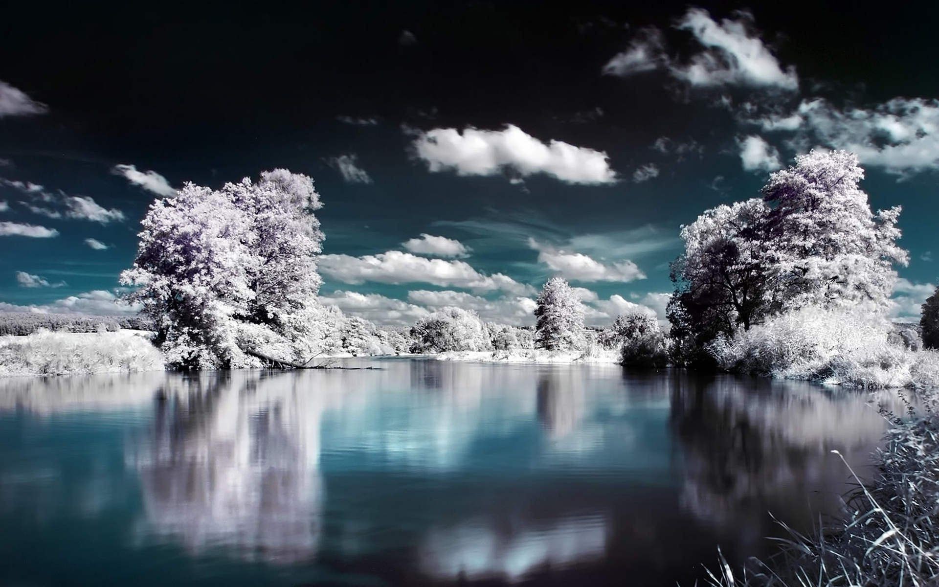 lago neve inverno acqua ghiaccio paesaggio freddo natura congelato