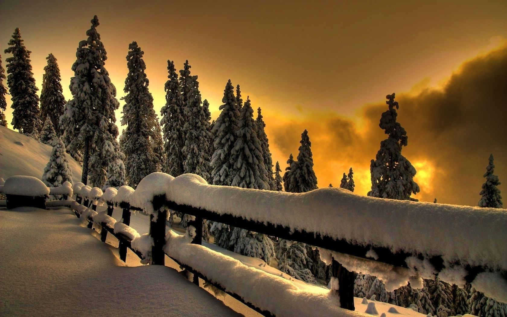 new year snow winter travel sky wood sunset outdoors dawn landscape tree nature