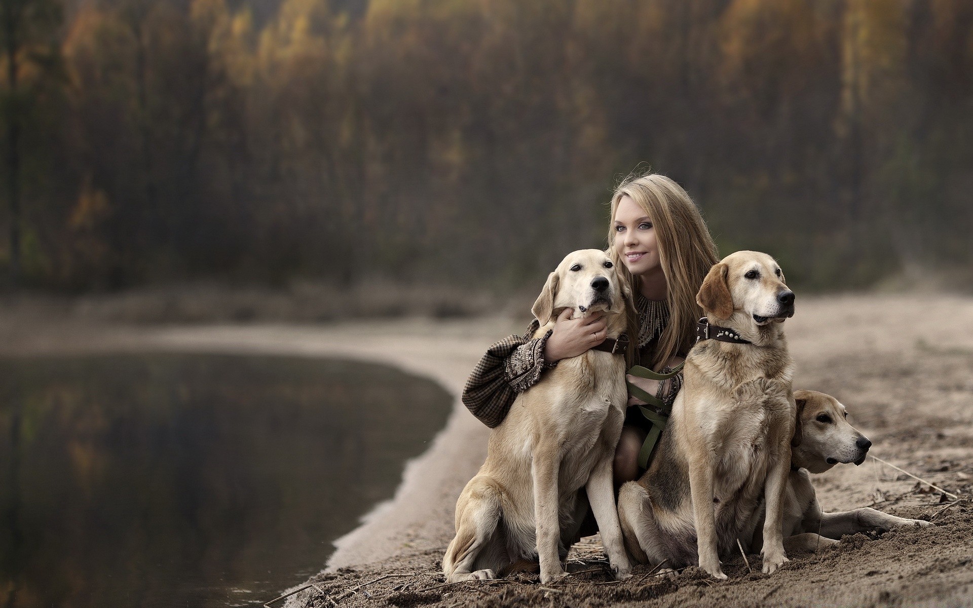 chiens chien à l extérieur mammifère deux nature cynologue animal de compagnie