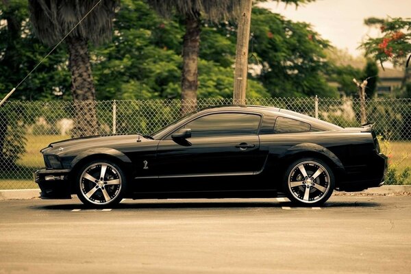 A black car. Car at home