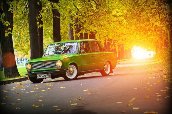 Ein kleines grünes Auto steht im Park