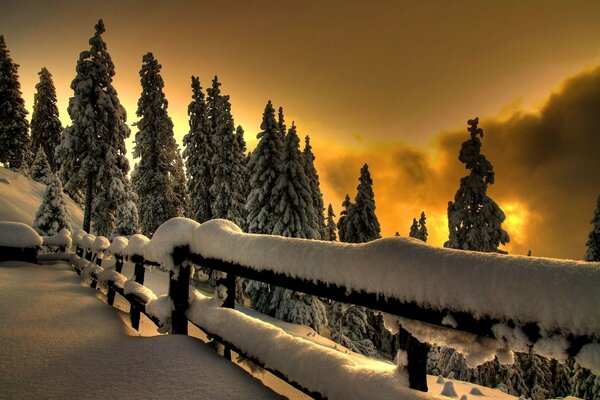 Snowy landscape with fir trees and sunset sky