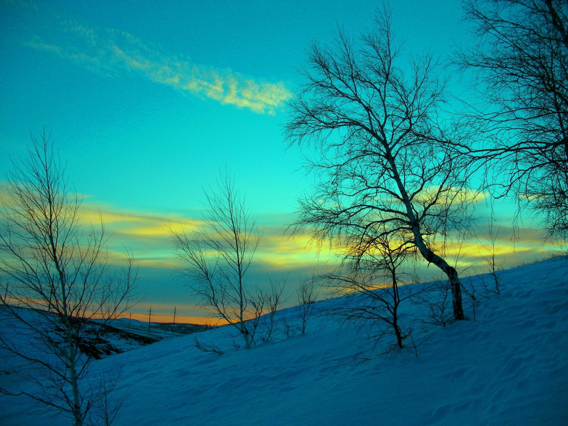 winter dawn landscape water nature sunset tree sun fair weather sky lake evening wood