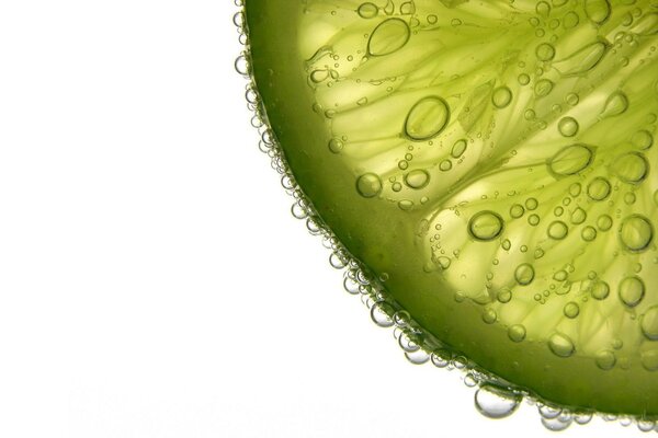 Fetta di lime verde con gocce d acqua