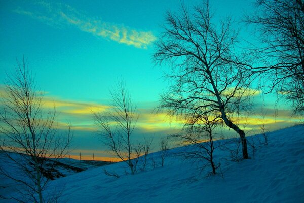 Landscape of the winter field dawn