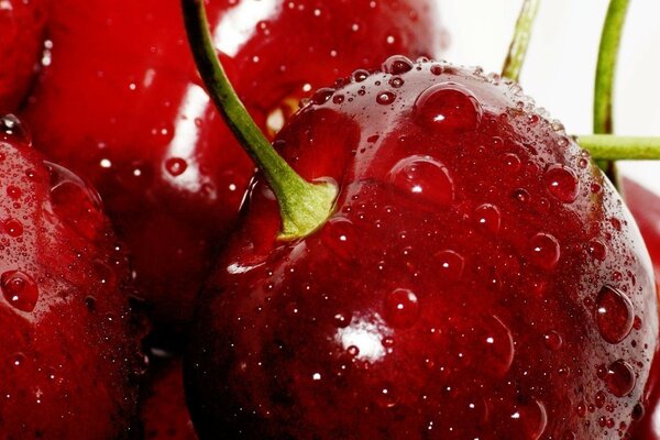 Bright, ripe juicy cherry