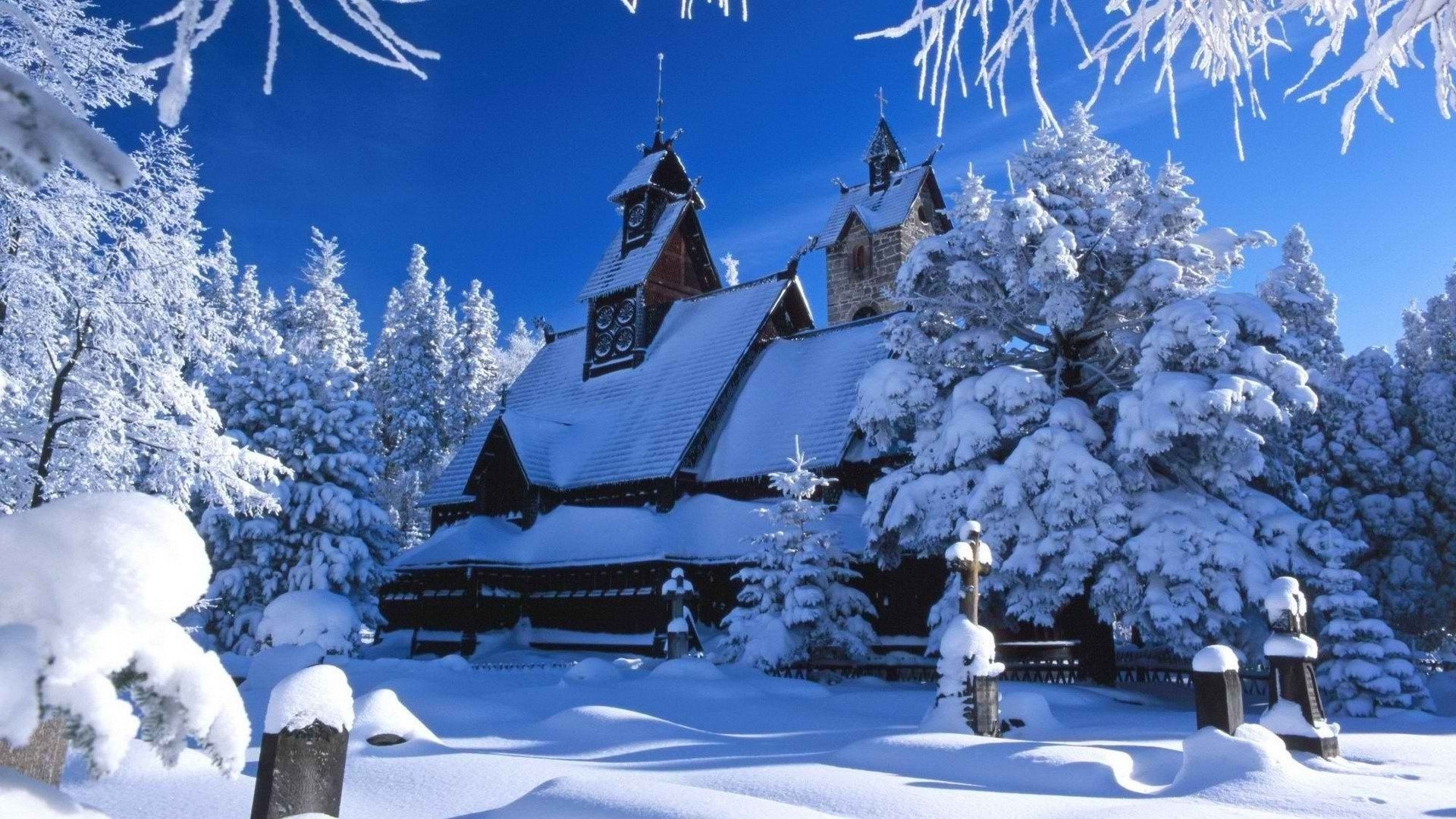 invierno nieve frío árbol escarcha madera hielo navidad congelado temporada paisaje escarcha tiempo escénico blanco como la nieve al aire libre montañas