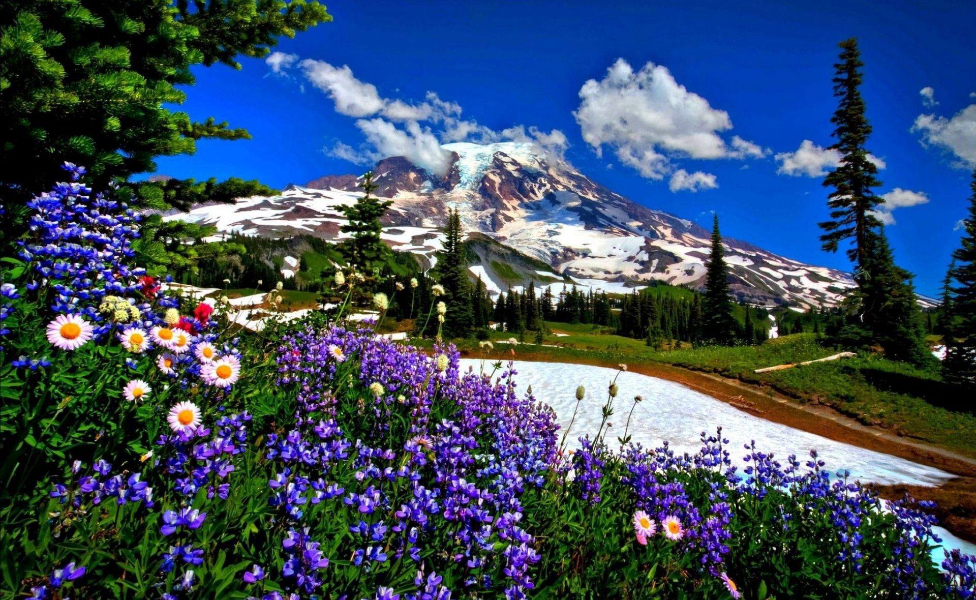 berge blume natur landschaft im freien sommer landschaftlich heuhaufen baum flora saison berge gras farbe reisen holz park ländlich spektakel