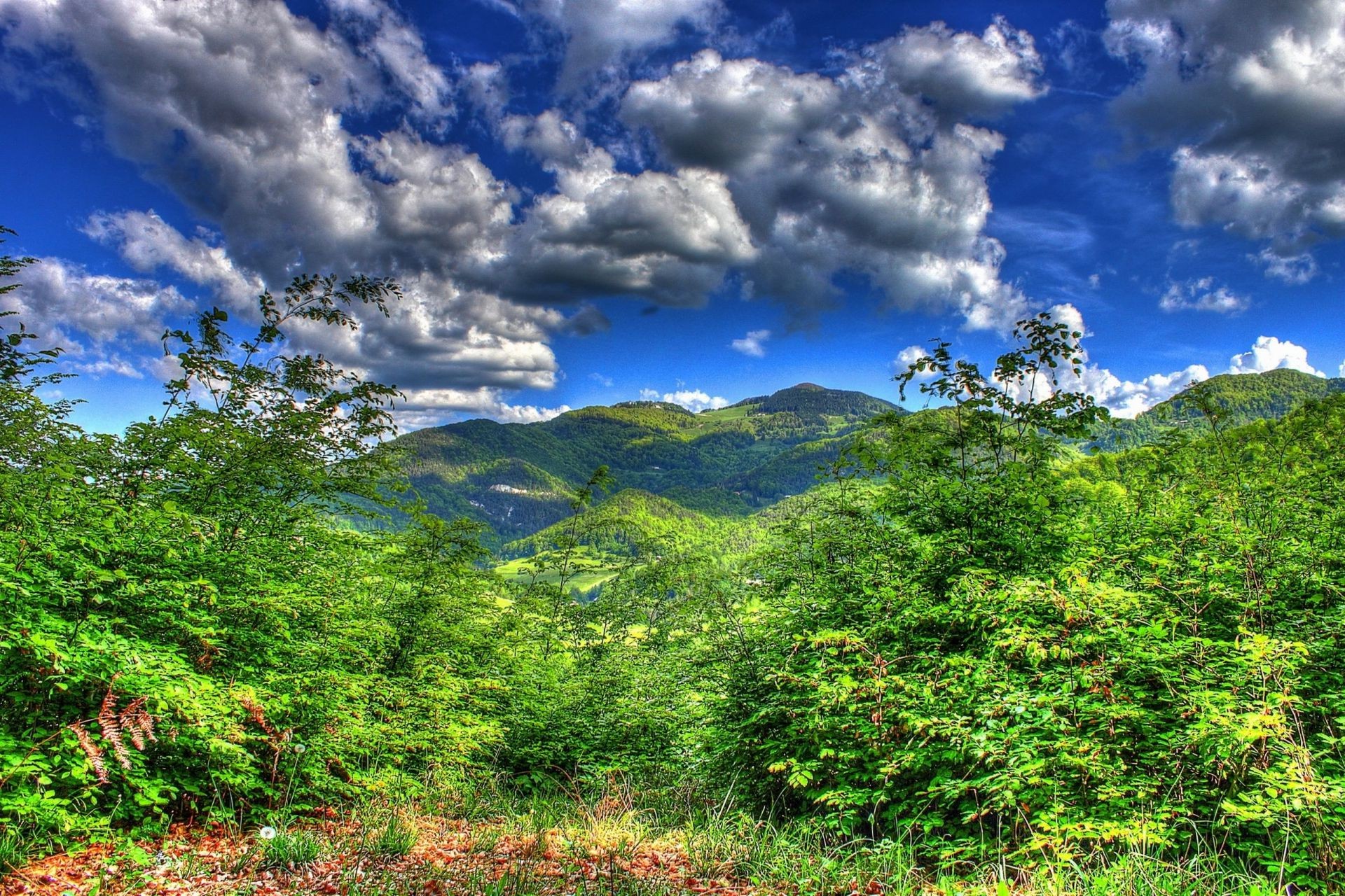 landschaft natur landschaft himmel holz berg baum im freien reisen sommer wolke hügel spektakel gutes wetter landschaftlich landschaftlich gras szene blatt