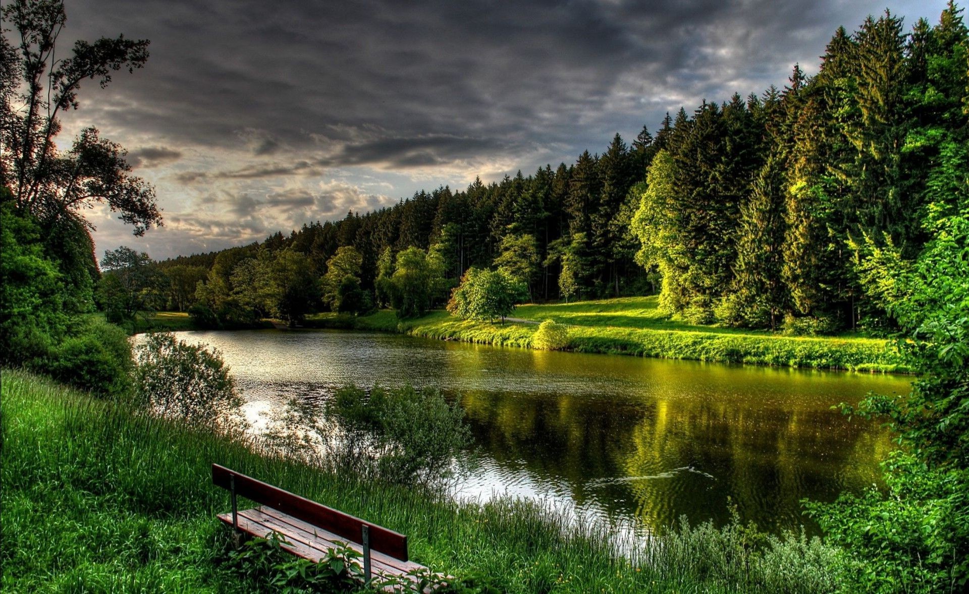 arbres lac nature eau paysage rivière arbre à l extérieur bois herbe été réflexion ciel scénique voyage sang-froid parc piscine plesid idylle