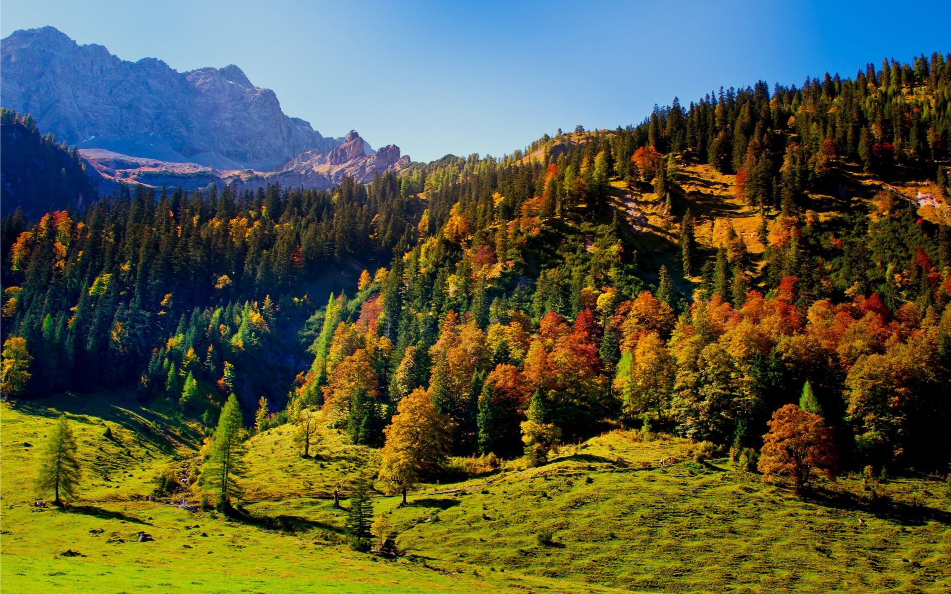 montagna autunno legno all aperto natura paesaggio albero montagna viaggi scenico cielo luce del giorno valle foglia