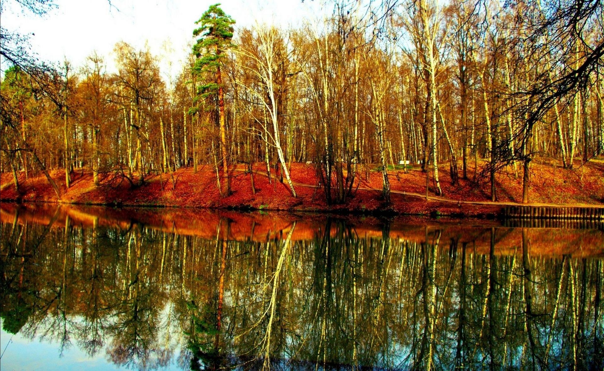 fiumi stagni e torrenti stagni e torrenti legno natura albero foglia paesaggio acqua autunno riflessione ambiente stagione all aperto flora fiume rurale parco colore bel tempo scenico lago