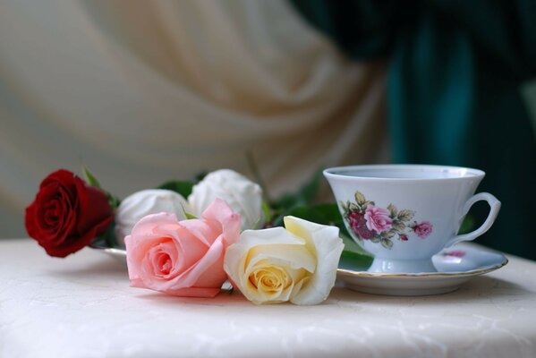 Stillleben Tasse auf Untertasse und bunte Rosen