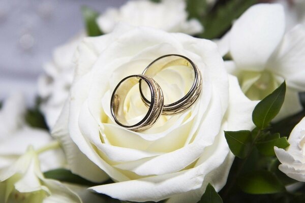 Romantic Wedding rose with rings