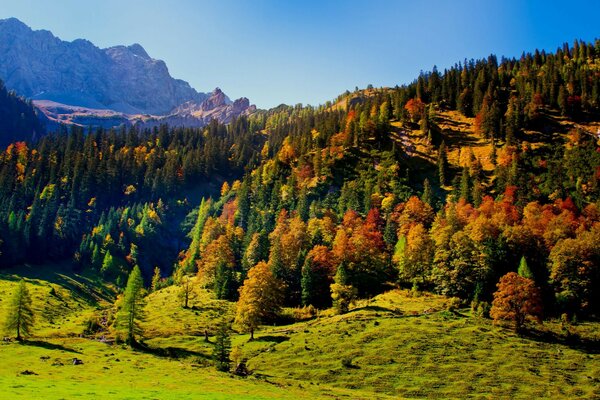 Austria jesień niebo drzewa Tyrol wzgórza góry karwende