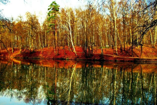 Der Fluss. Herbstwald. Reflexion im Wasser