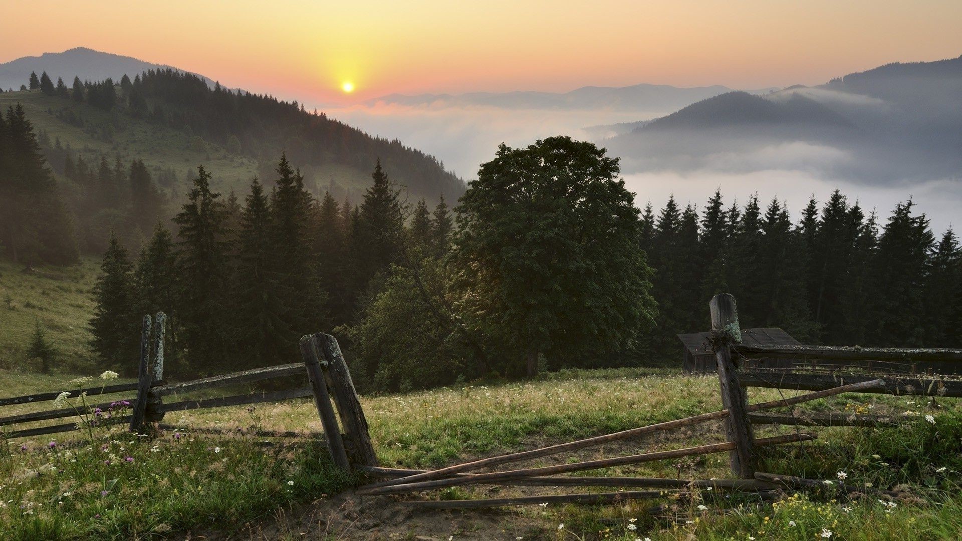 paysage paysage bois bois à l extérieur montagnes voyage nature lumière du jour aube clôture automne scénique ciel coucher de soleil lumière herbe