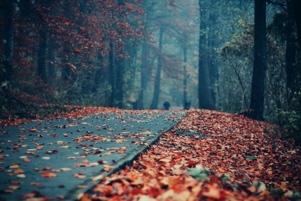 Herbststraße ein trauriger Anblick trockene Blätter