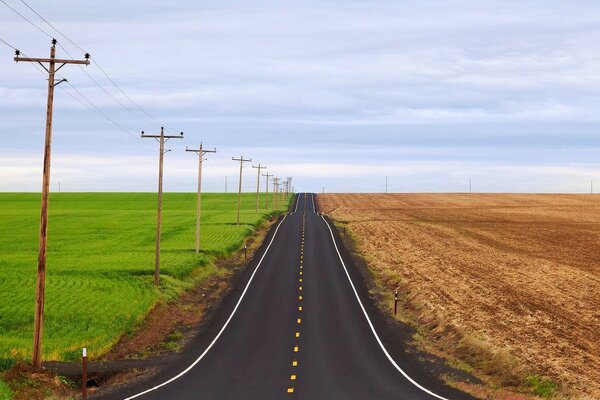 Strada tra due campi