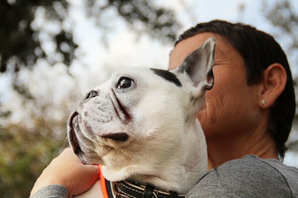 A small dog is sitting in the arms of the hostess