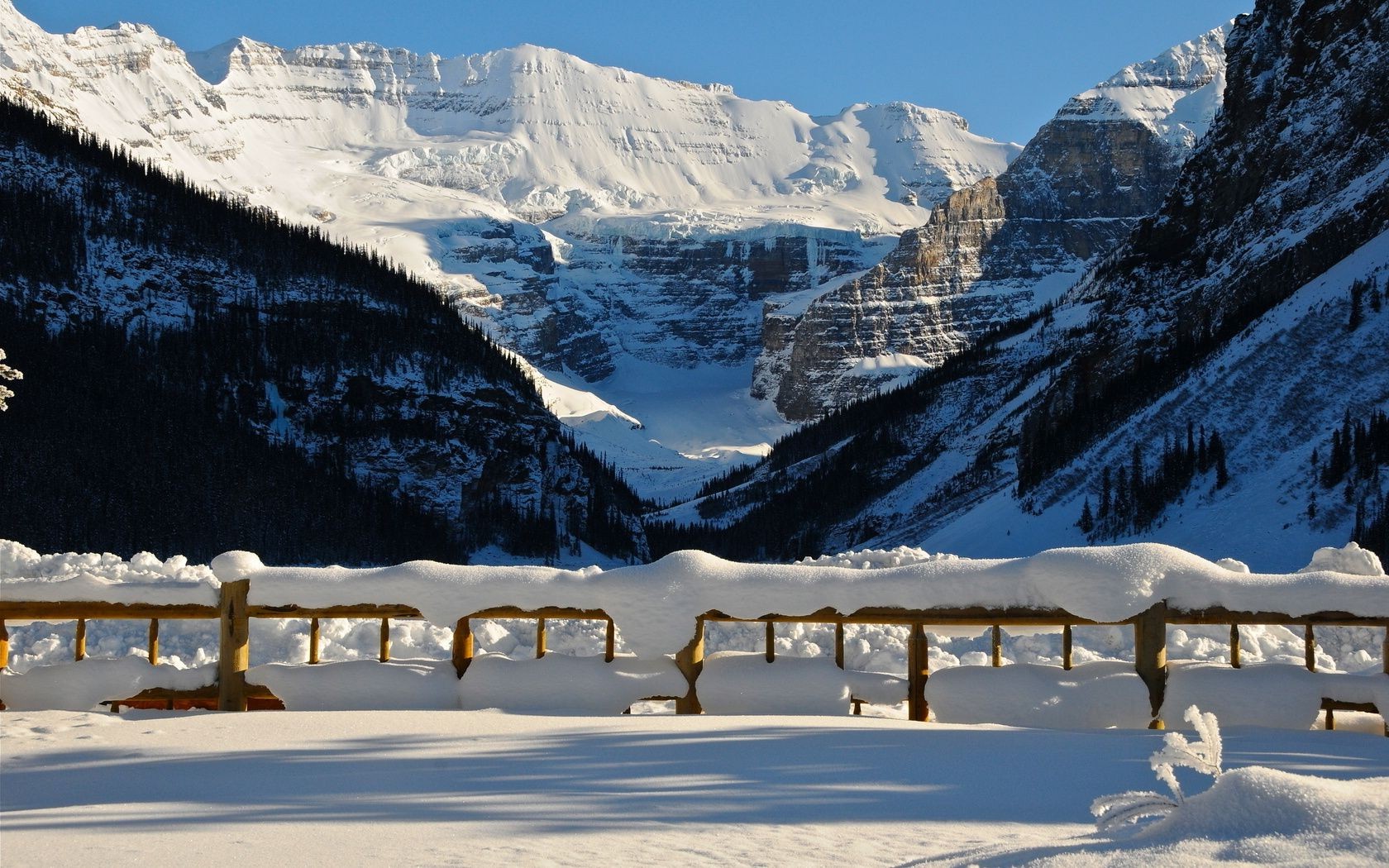 hiver neige montagne froid scénique bois glace voyage paysage à l extérieur station ciel nature eau lumière du jour bois vacances alpine