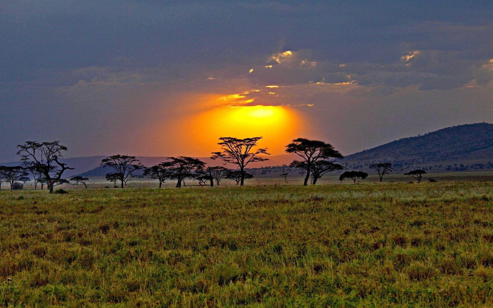 campos prados y valles puesta del sol paisaje amanecer naturaleza hierba cielo noche árbol pastizales viajes sol al aire libre crepúsculo campo