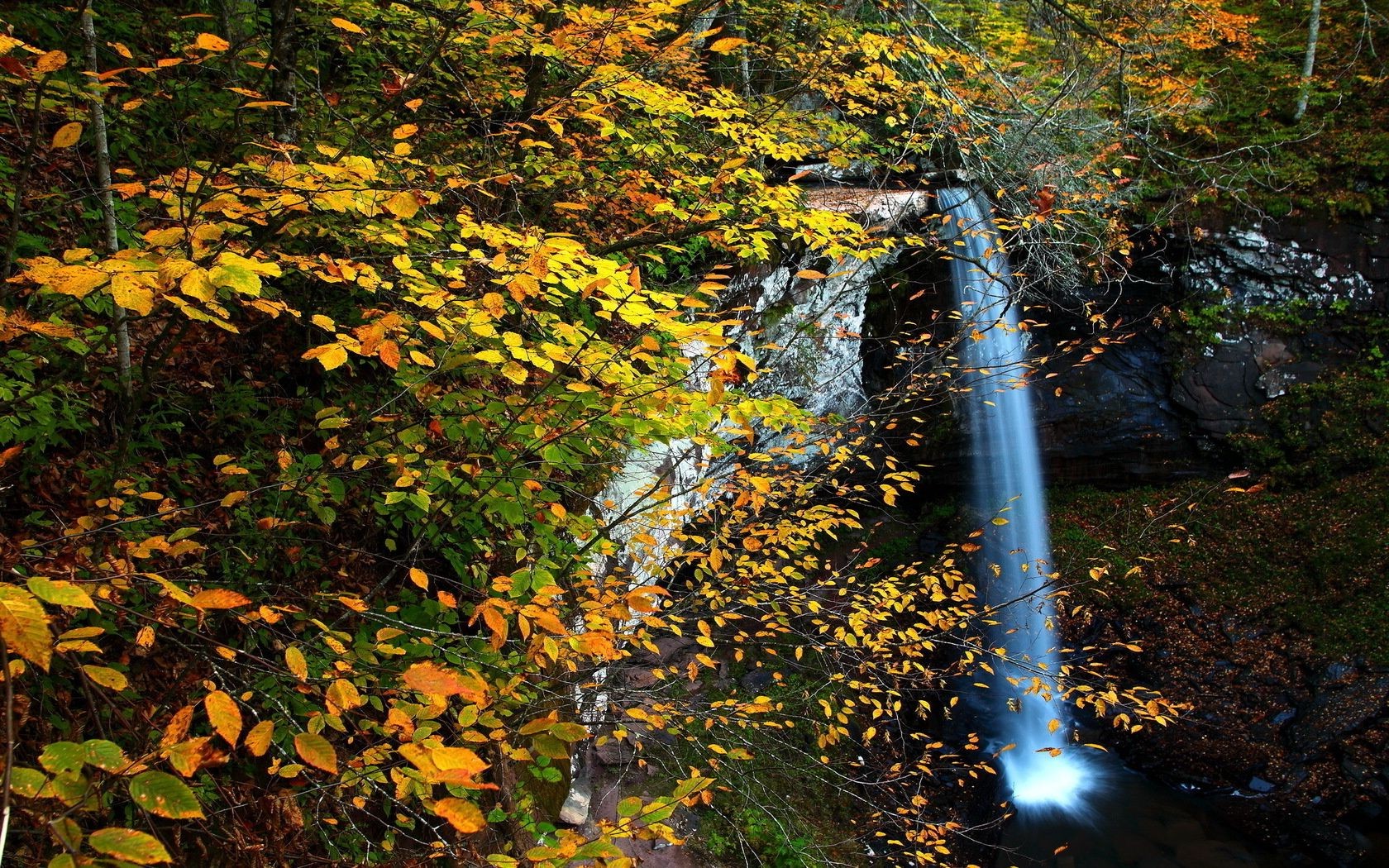 waterfalls fall leaf wood tree nature outdoors landscape park maple lush scenic season daylight water environment fair weather