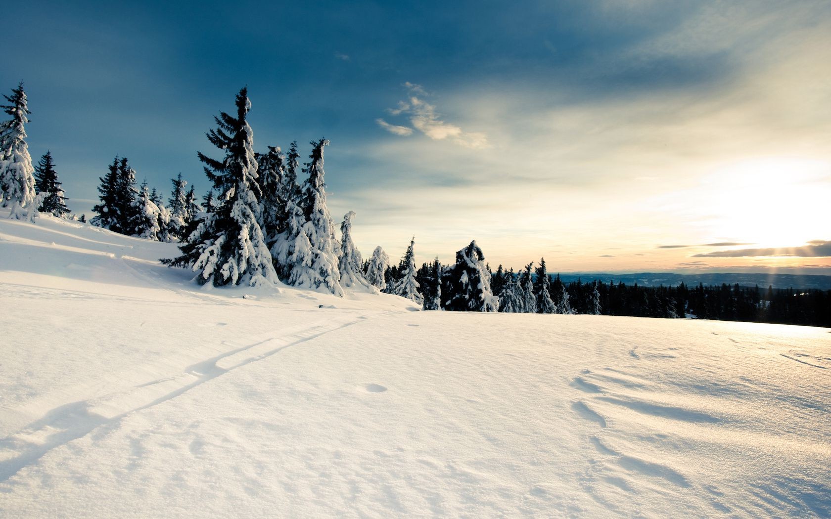 hiver neige froid gel congelé glace paysage scénique météo bois montagne station bois saison piste beau temps nature